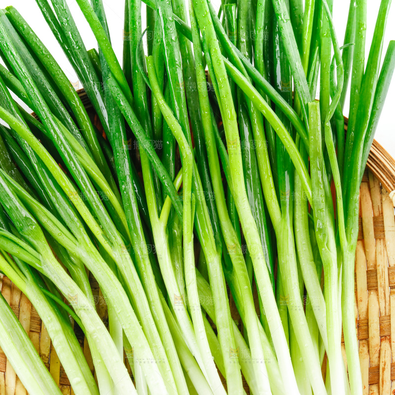 篮子里装着小香葱