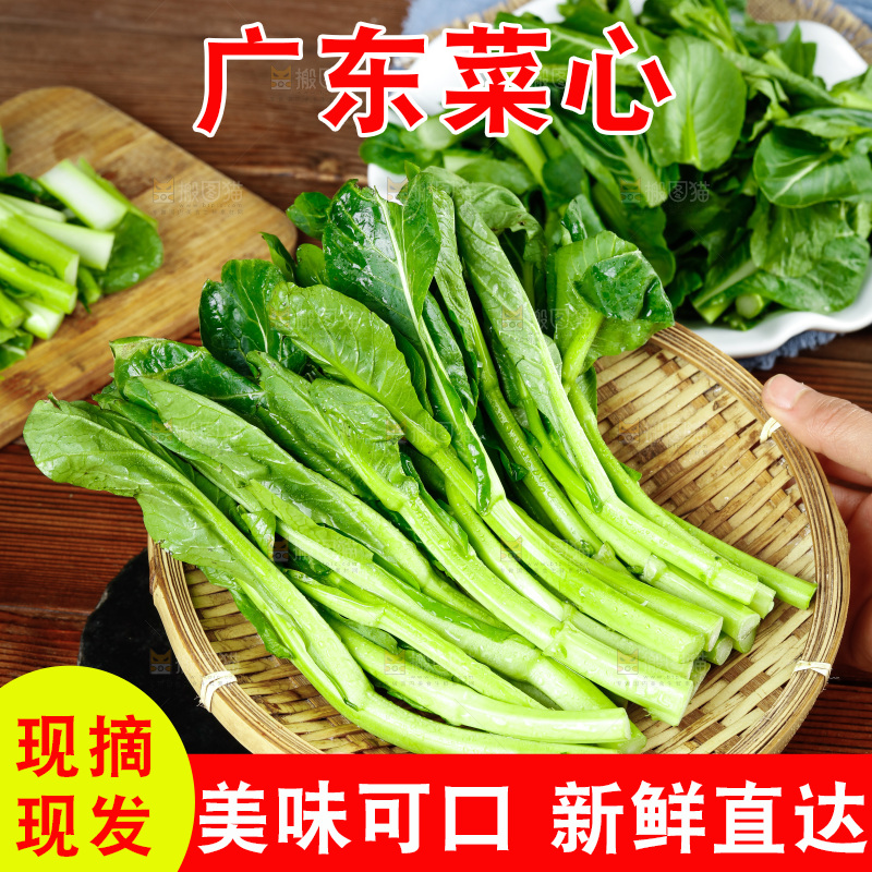 篮子里放着广东菜心