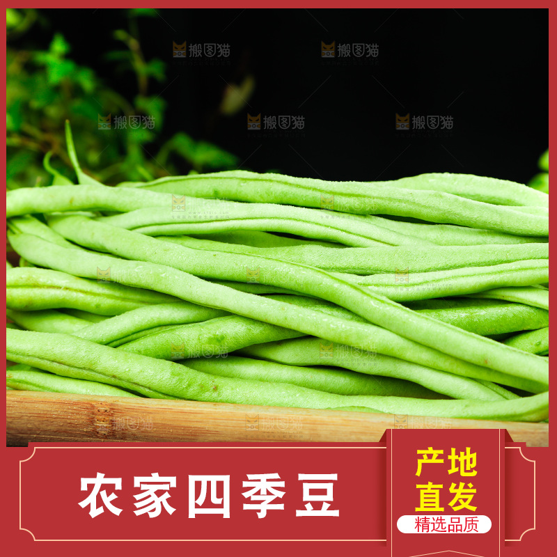 篮子里装着四季豆