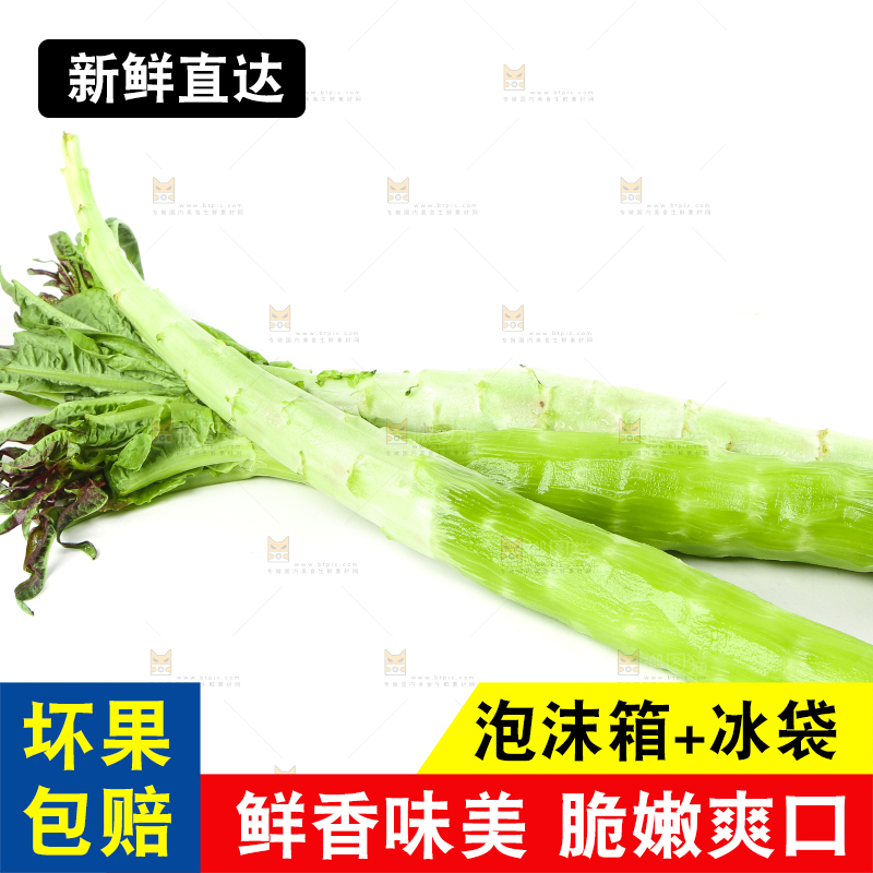 白底上摆放着莴笋
