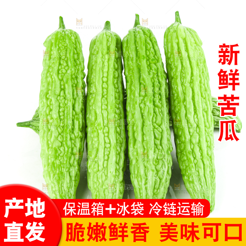 白底上摆放着凉瓜