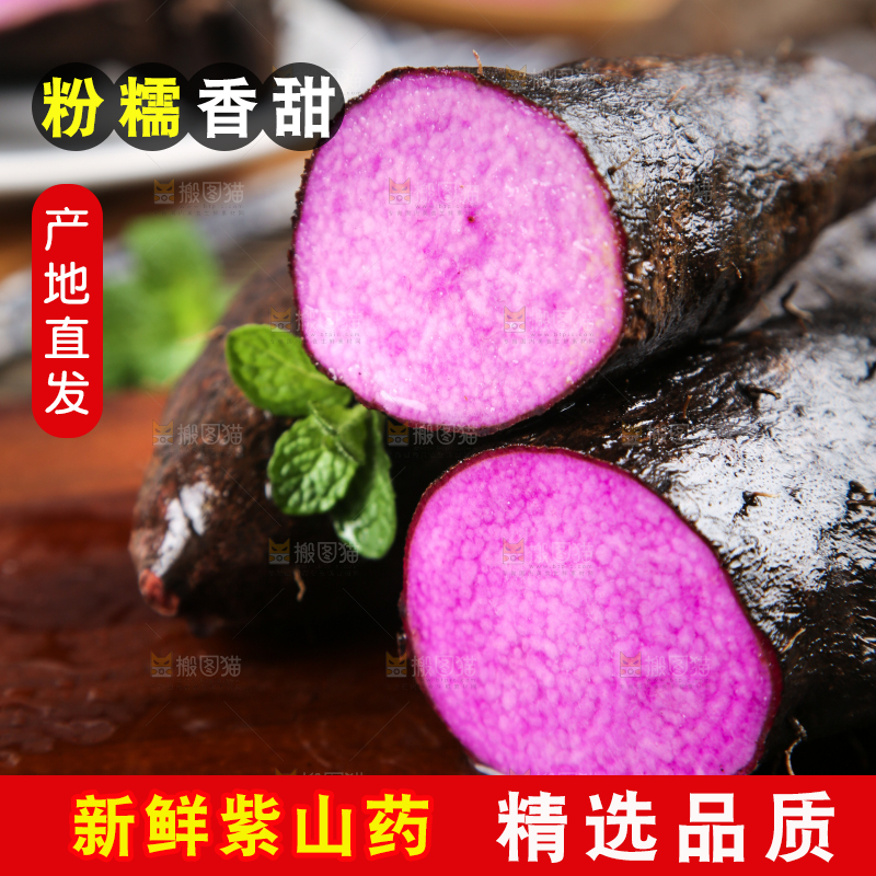 深底上摆放着紫人参