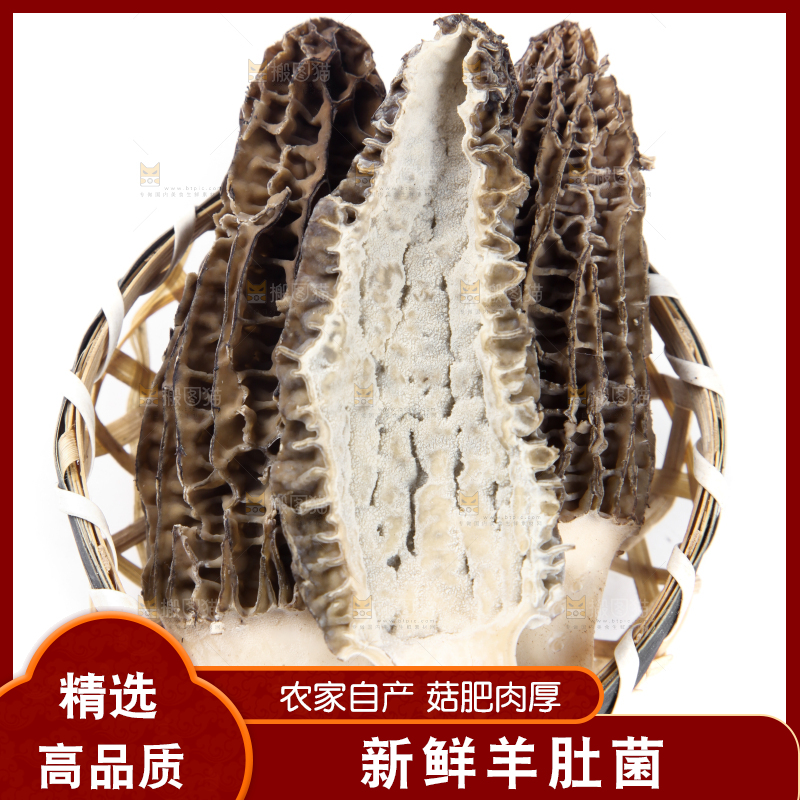 篮子里放着羊肚菇