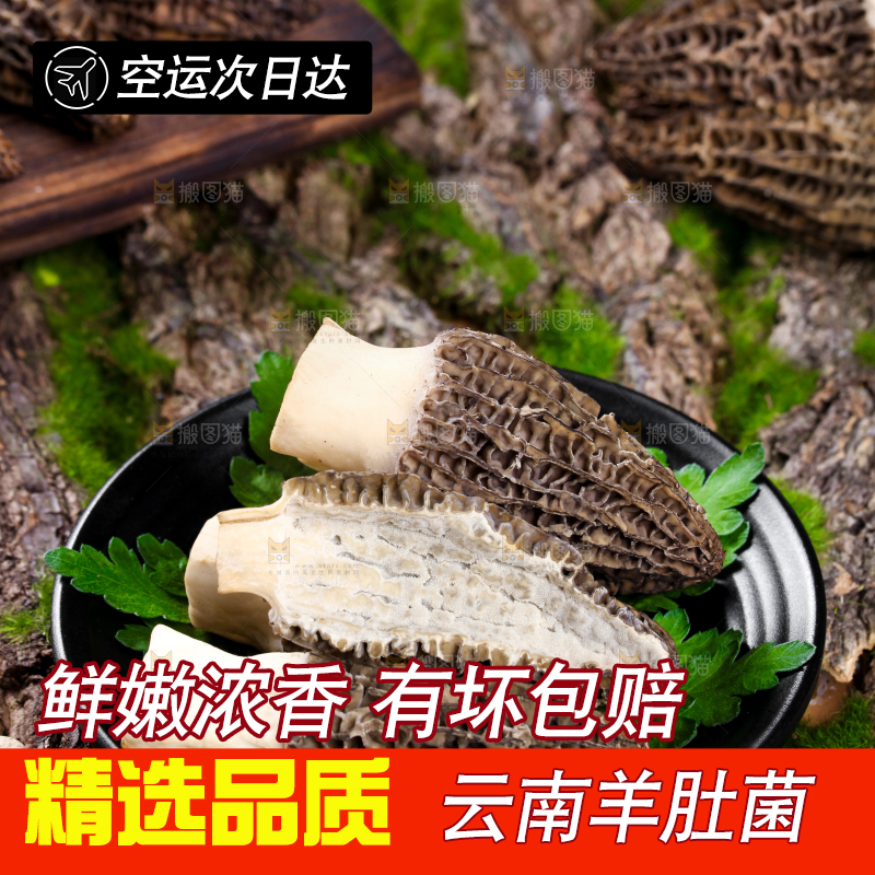 盘子里装着羊肚菌