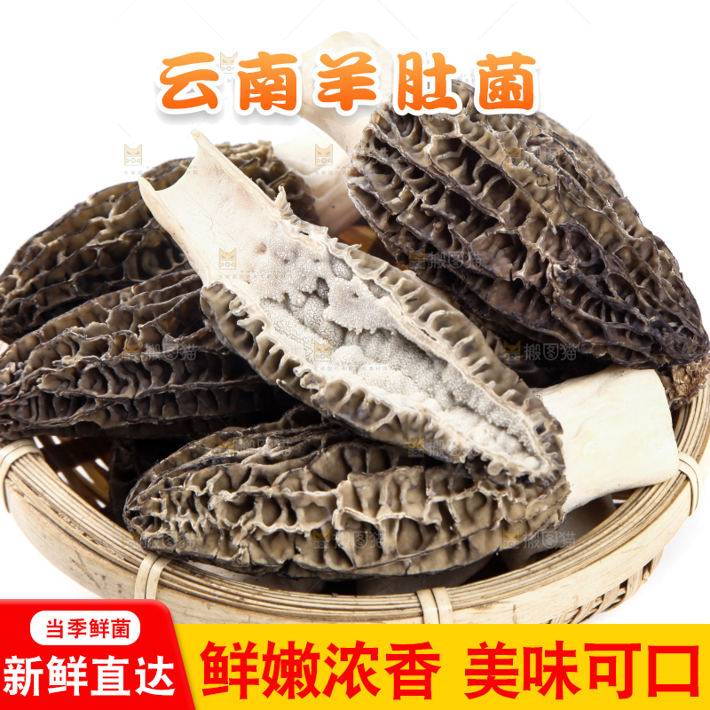 篮子里放着羊肚菇