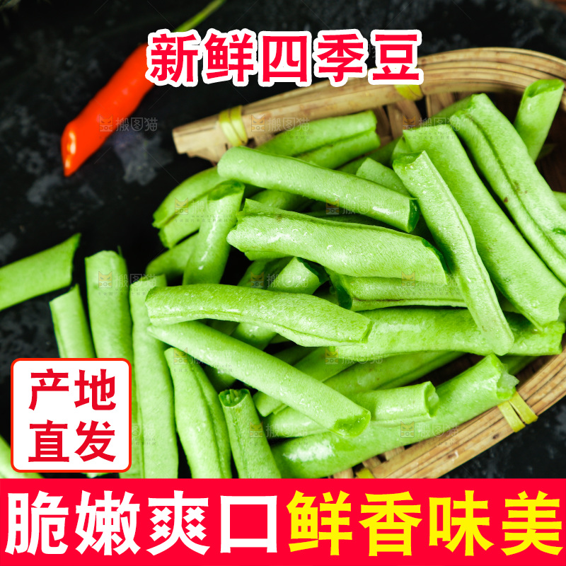 深底摆放着四季豆