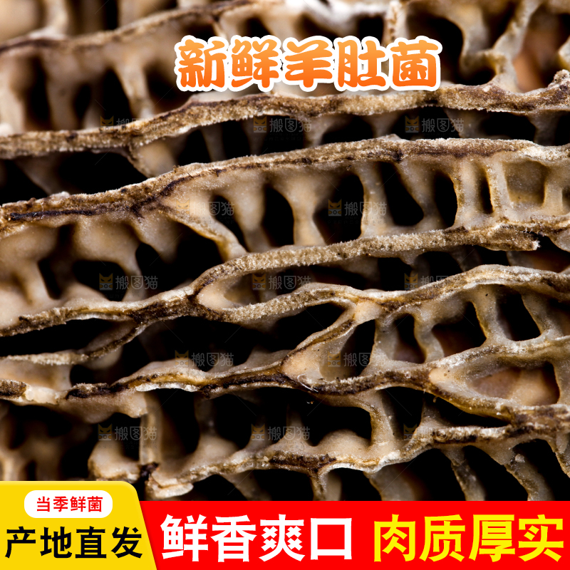木板上放着羊肚菌