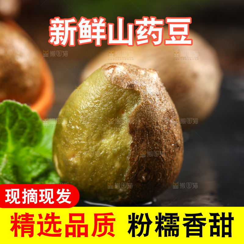勺子上放着山药籽