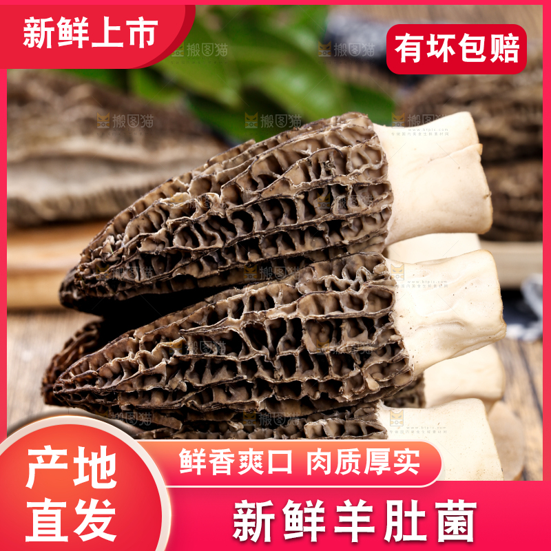 木底上放着羊肚菌