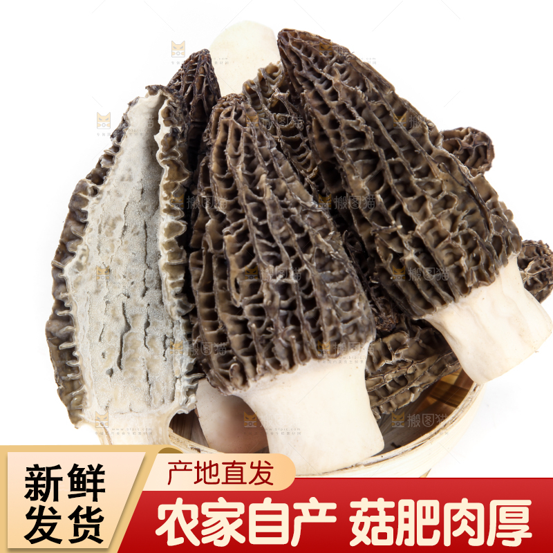 篮子里放着羊肚菇