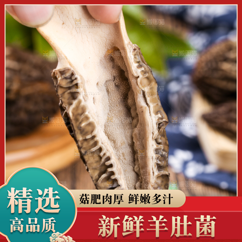手里拿着羊肚菇