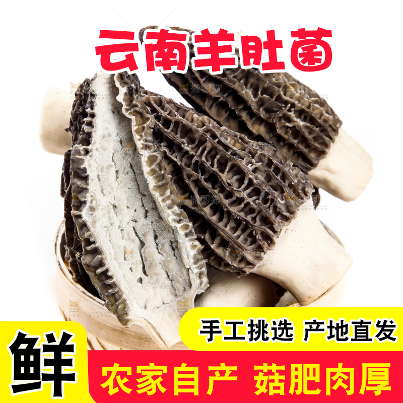 篮子里放着羊肚菇