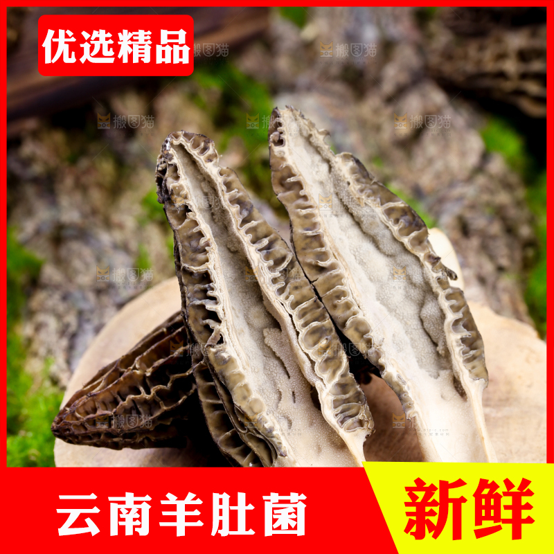 木板上放着羊肚菌