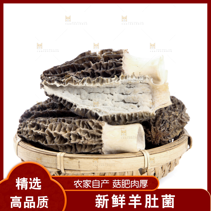 篮子里放着羊肚菇