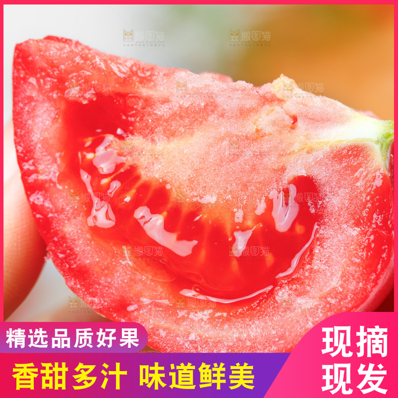 手里拿着沙瓤西红柿