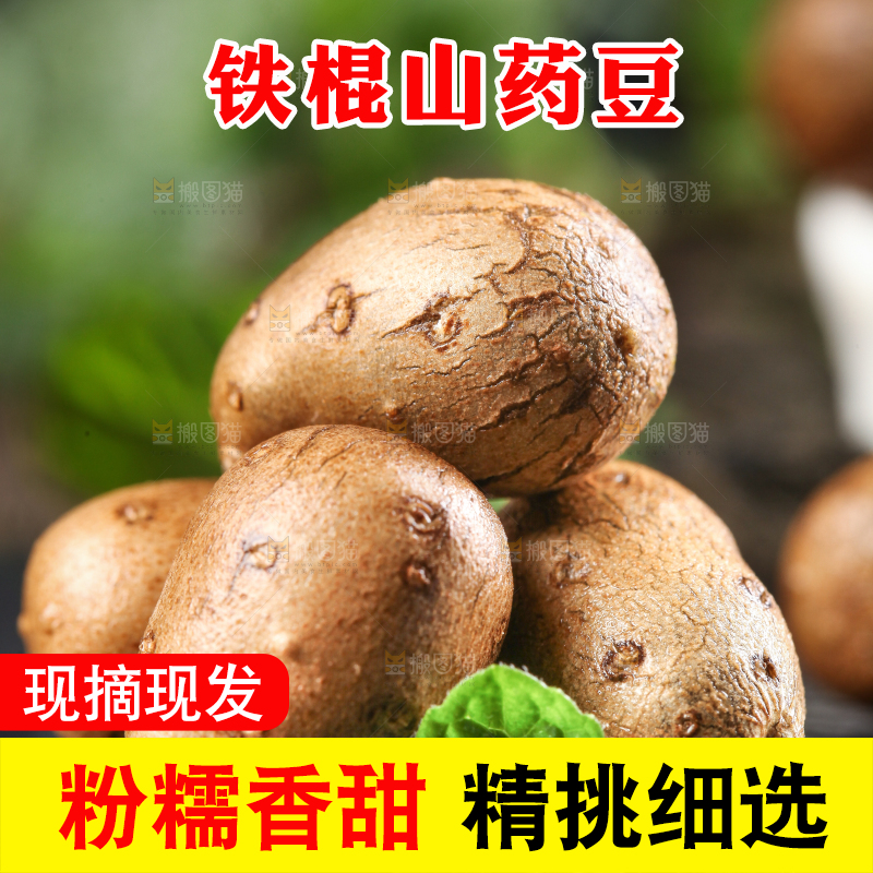 深底上摆放着山药籽