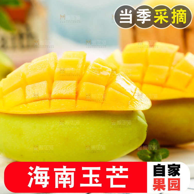 格子底上摆放着芒果