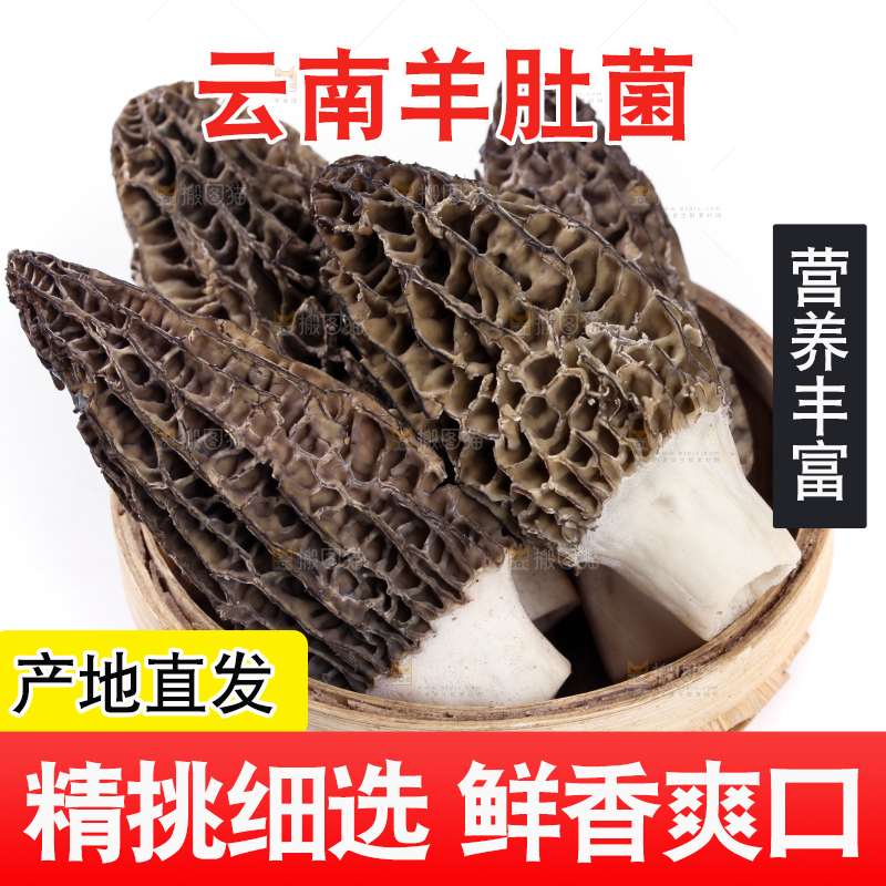 篮子里放着羊肚菇