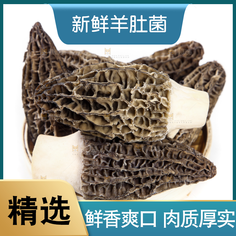 篮子里放着羊肚菇