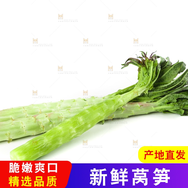 白底上摆放着莴笋