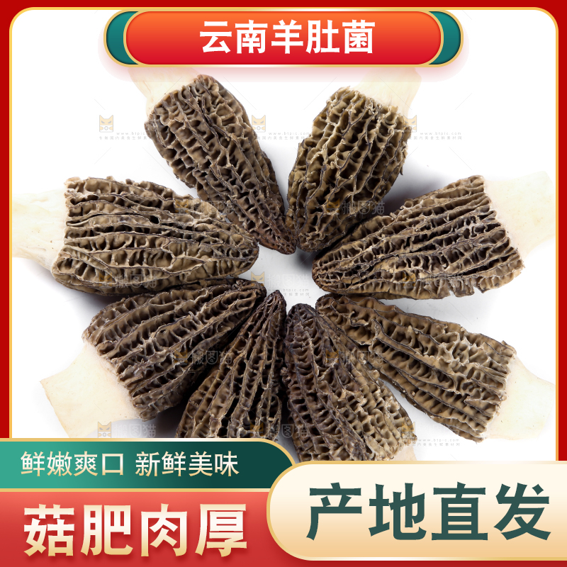 白底上放着羊肚菇
