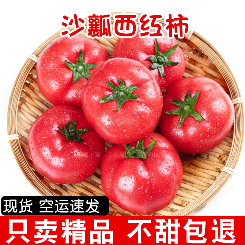 篮子里装着沙瓤西红柿