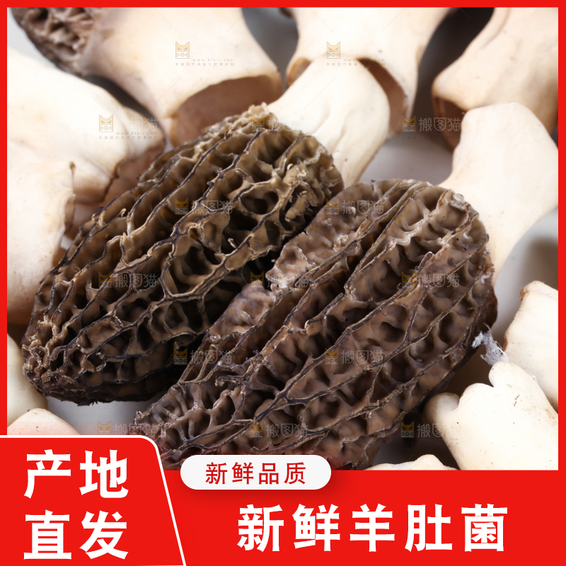 盘子里装着羊肚菇