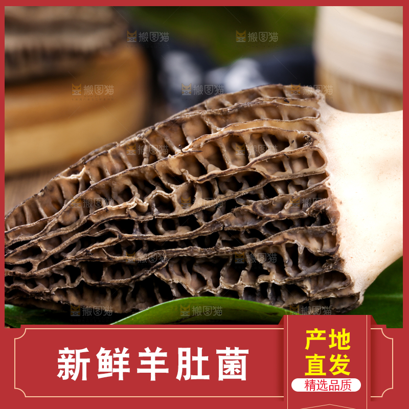 深底上摆放着羊肚菌