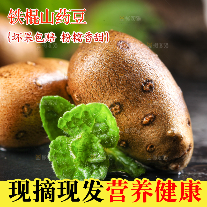 深底上摆放着山药籽