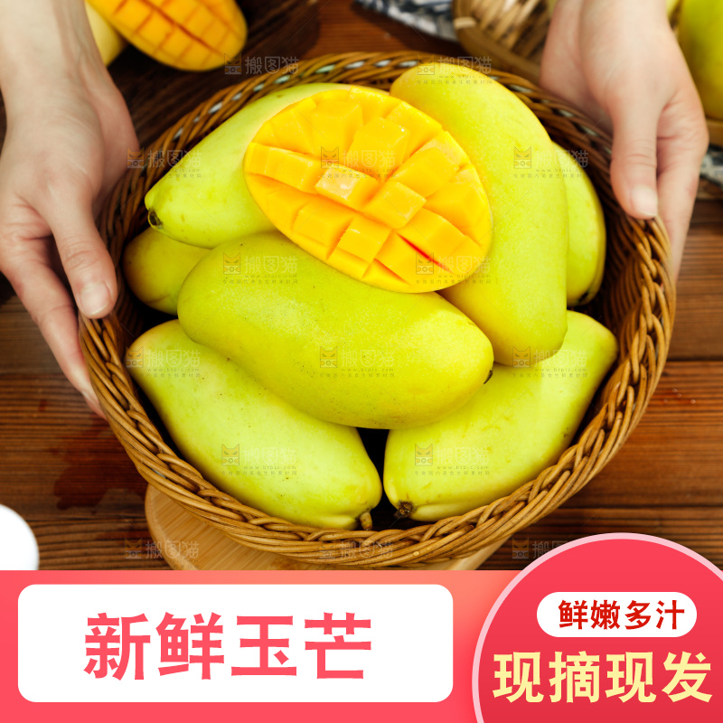 手里拿着芒果