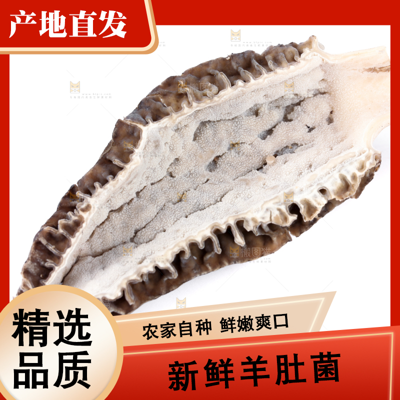 白底上放着羊肚菇