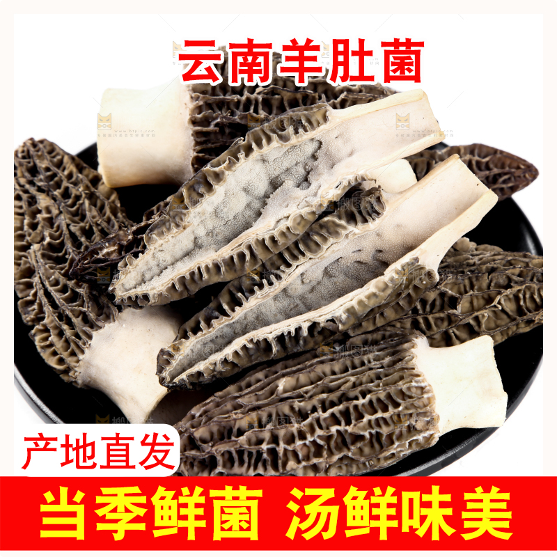盘子里装着羊肚菌