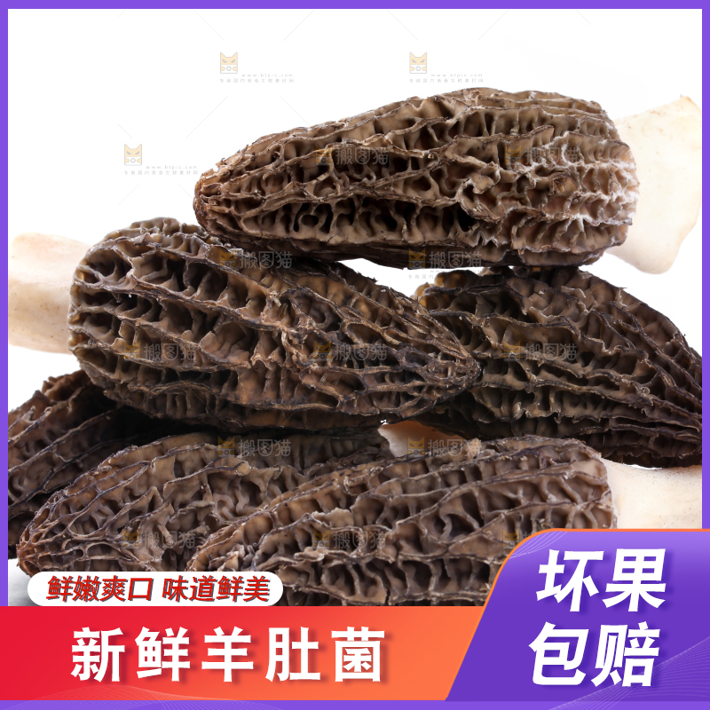 白底上摆放着羊肚菌