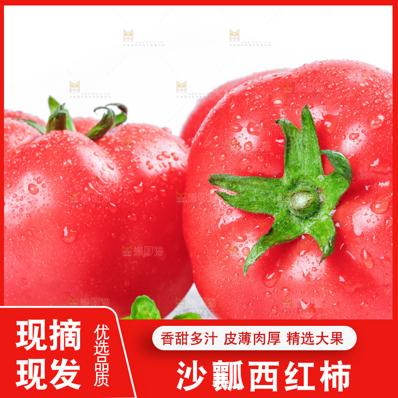 白底上摆放着西红柿