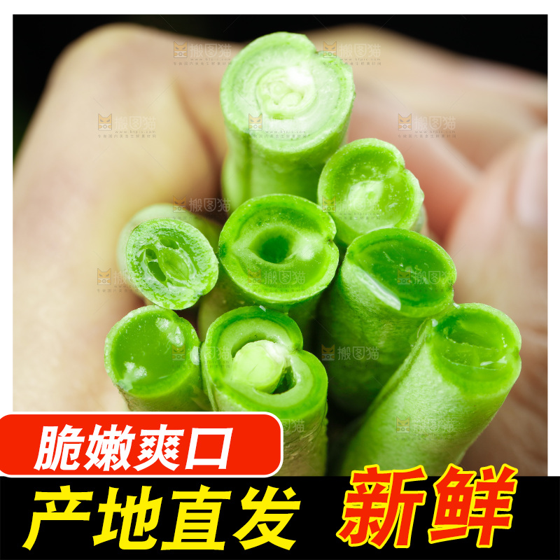 手里拿着四季豆