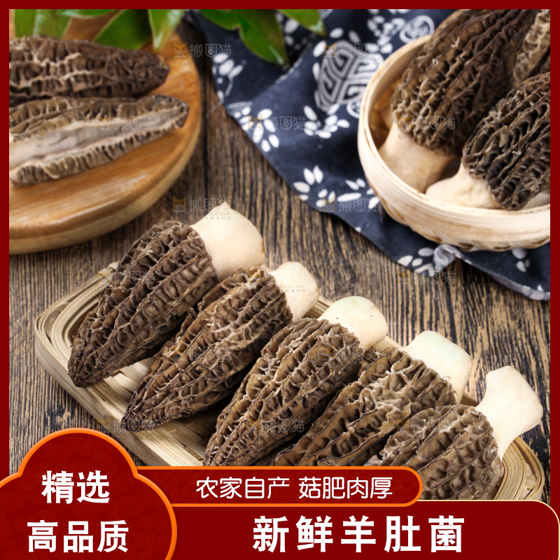 盘子里装着羊肚菌