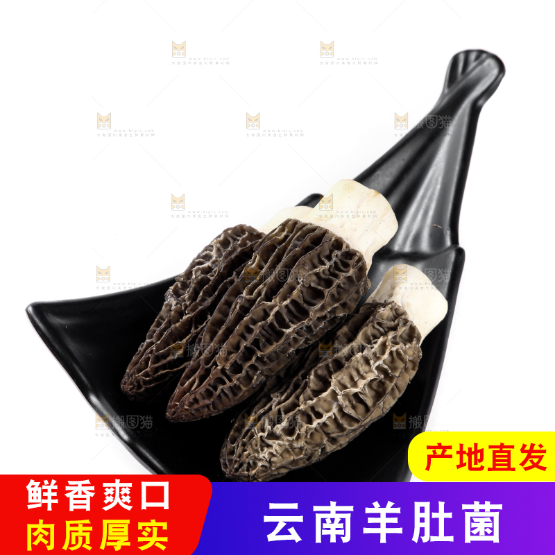 盘子里装着羊肚菌