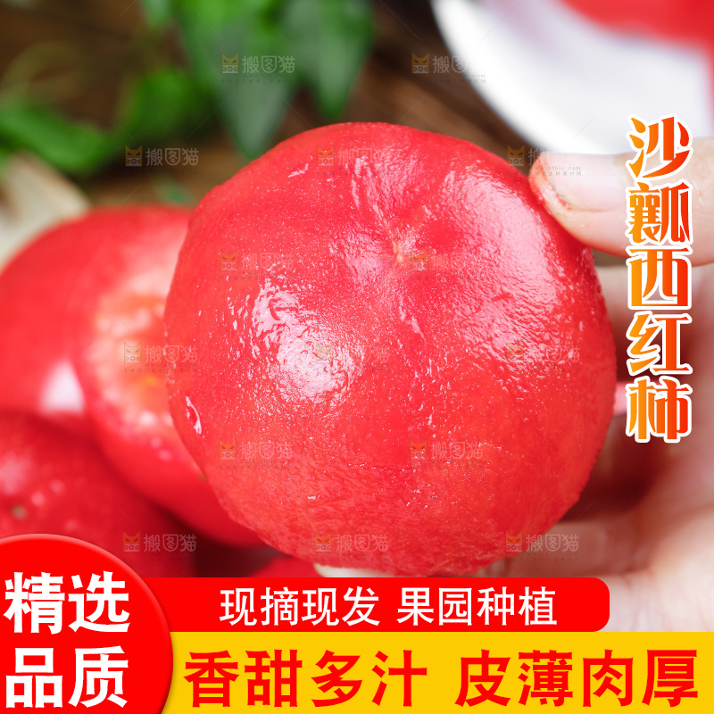 手里拿着沙瓤西红柿