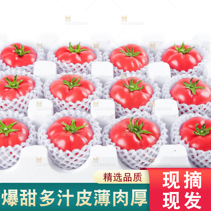 白底上摆放着沙瓤西红柿