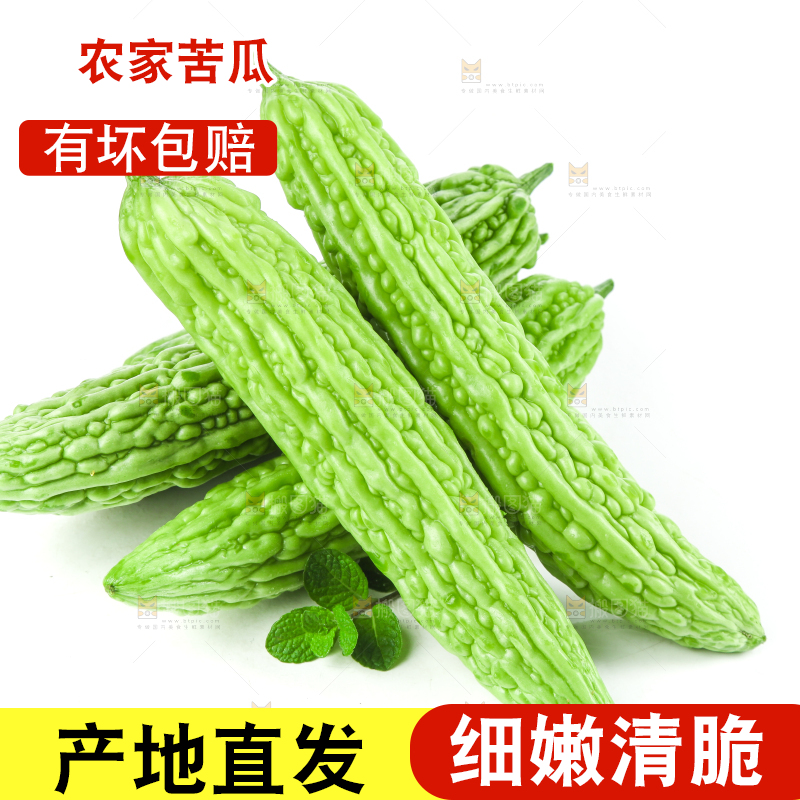 白底上摆放着凉瓜