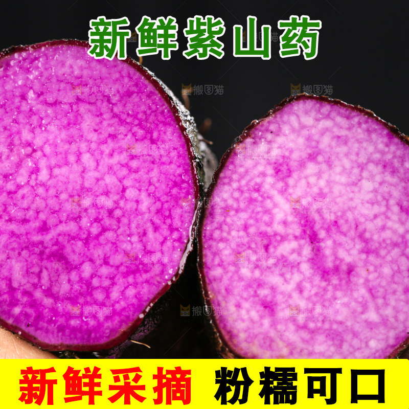 手里拿着紫人参