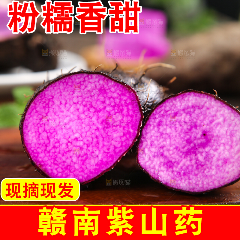 深底上摆放着紫人参