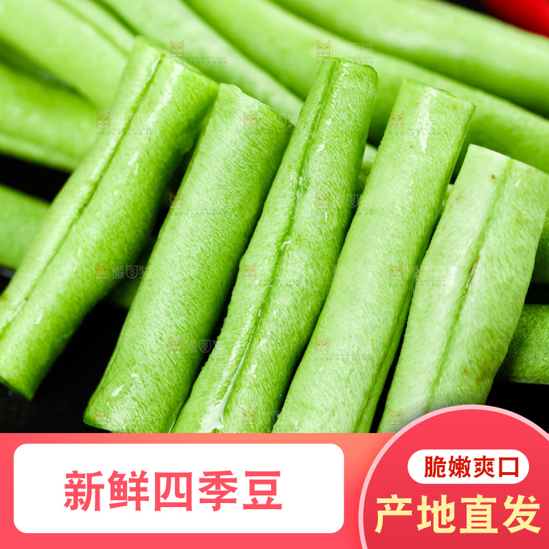 深底摆放着四季豆