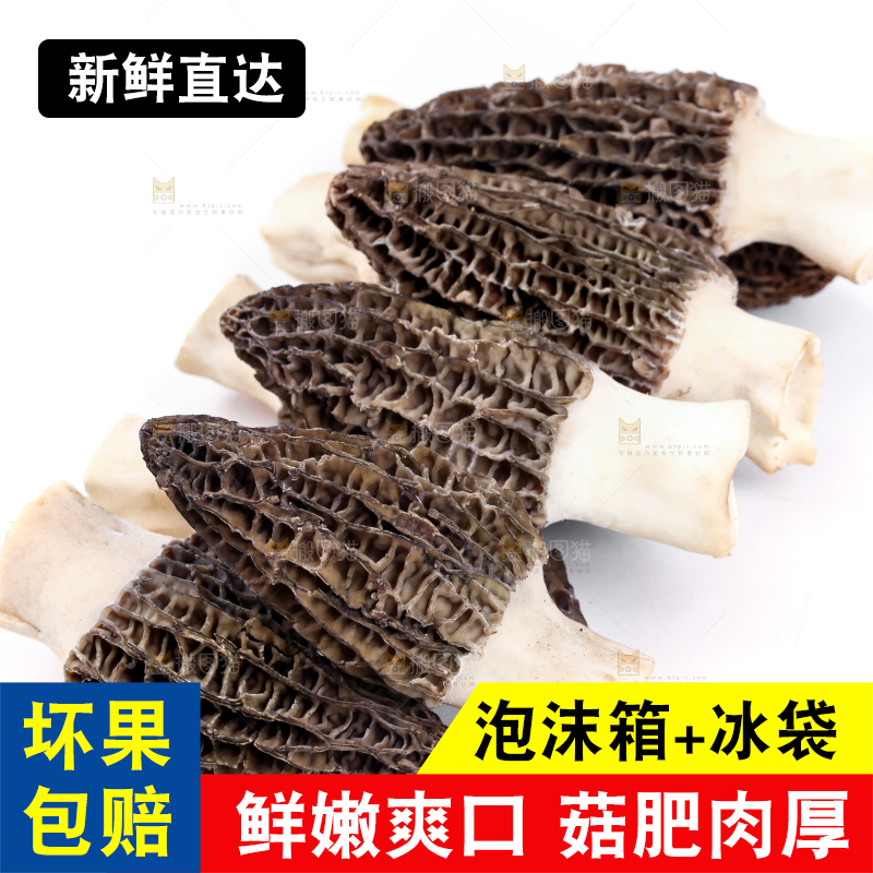 白底上摆放着羊肚菌