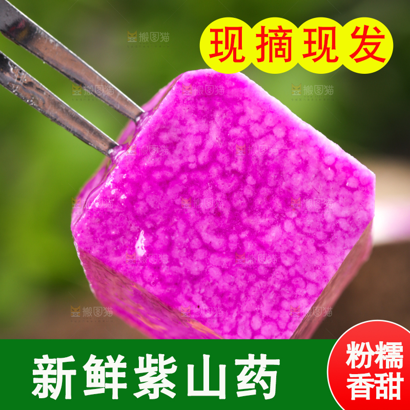 叉子叉着紫人参