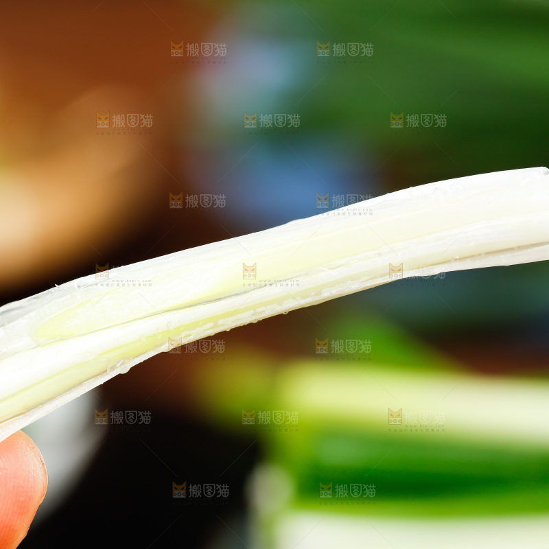 手里拿着小香葱
