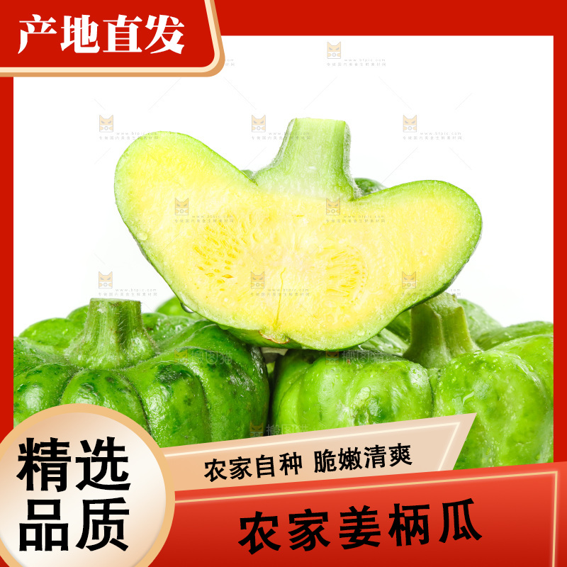白底上放着姜柄瓜
