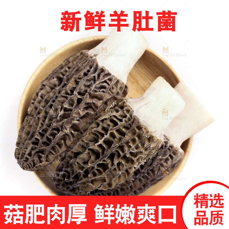 盘子装着羊肚菇