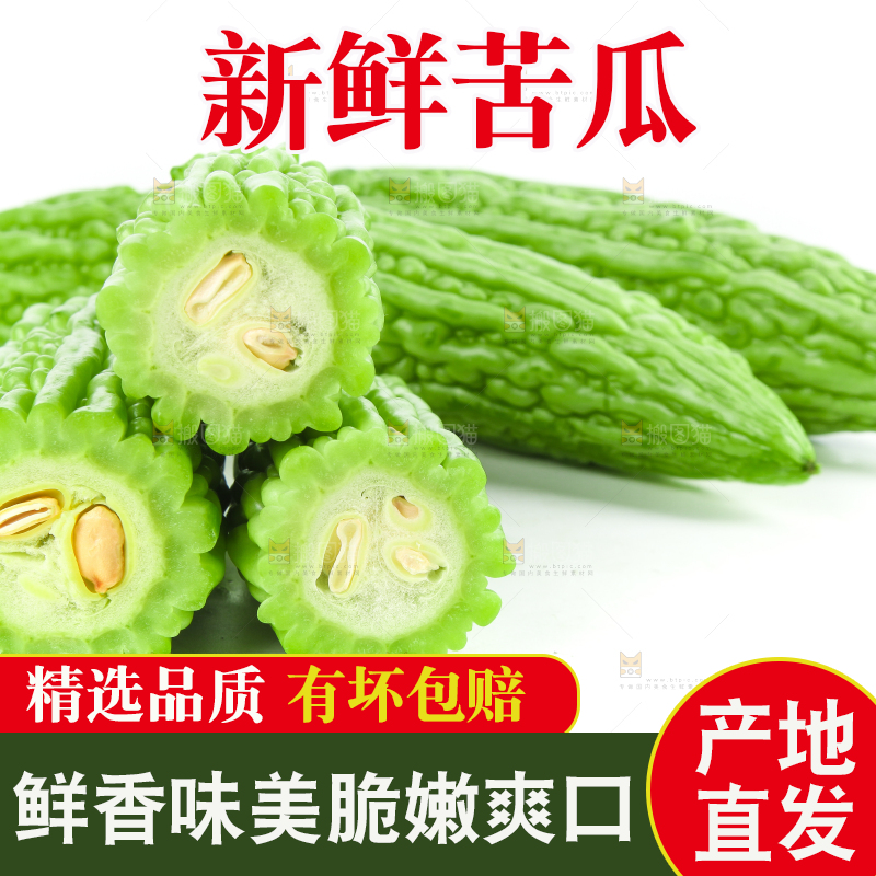 白底上摆放着凉瓜