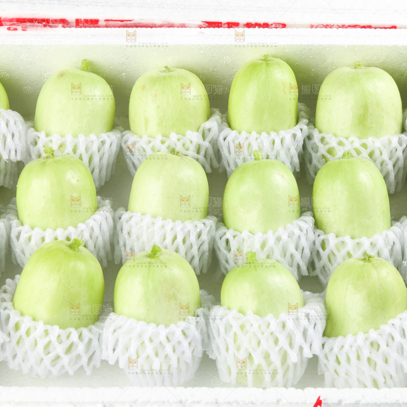 泡沫箱里装着玉女黄瓜